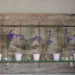 La Maison Du Vivier - De Charme Avec Jardin Pres De Feriehus