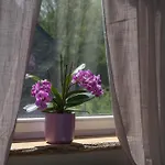 La Maison Du Vivier - De Charme Avec Jardin Pres De * Durbuy