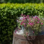 La Maison Du Vivier - De Charme Avec Jardin Pres De Ferienhaus *