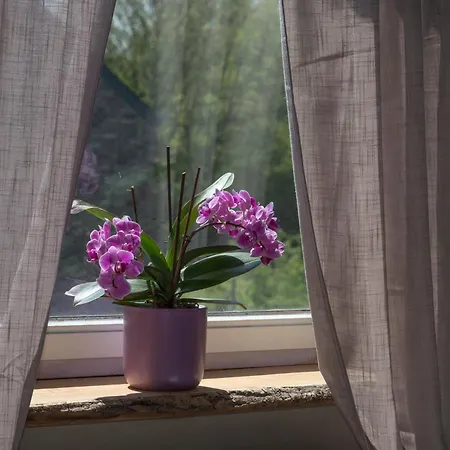 La Maison Du Vivier - De Charme Avec Jardin Pres De * Durbuy