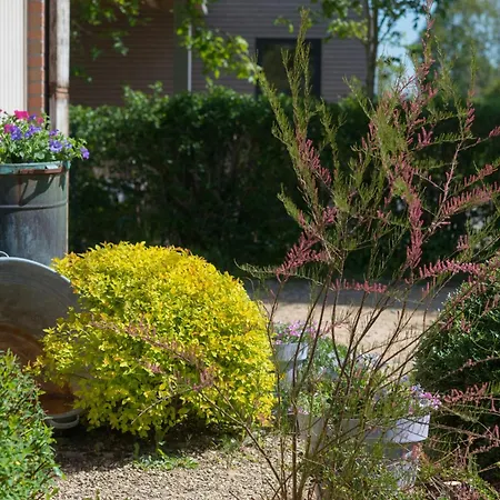 Feriehus La Maison Du Vivier - De Charme Avec Jardin Pres De Durbuy